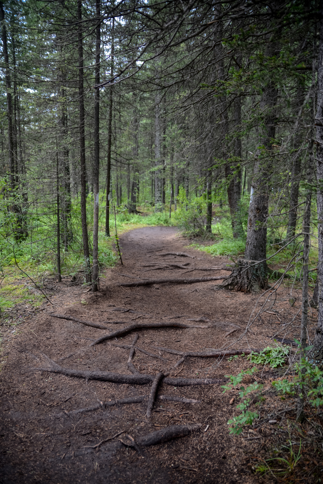 Алтай с севера на юг. Комфорт-тур (41/81)