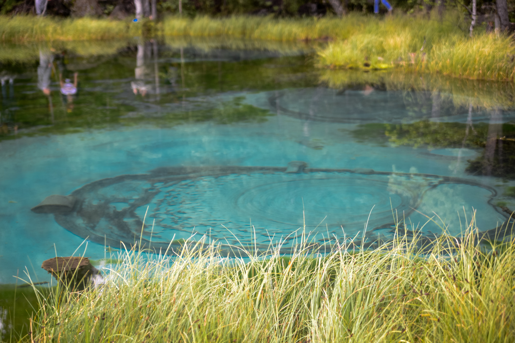 Алтай с севера на юг. Комфорт-тур (42/81)