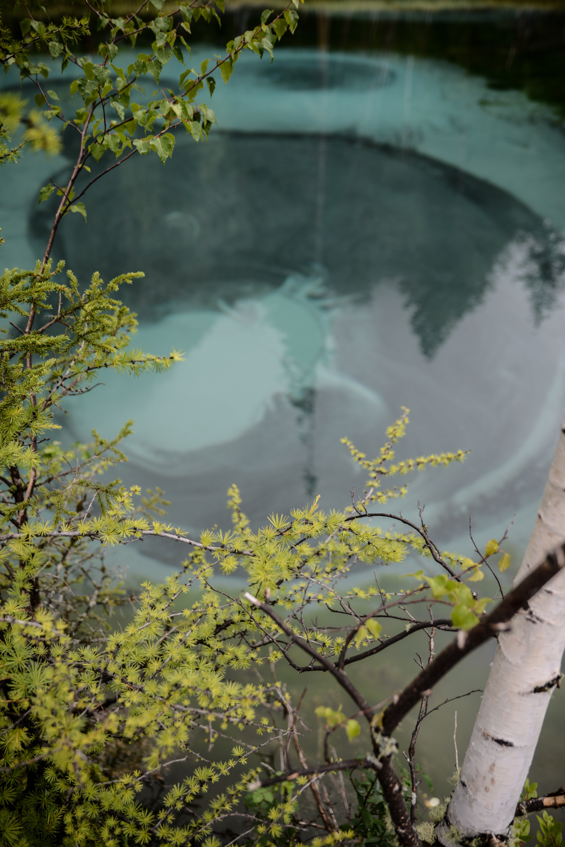 Алтай с севера на юг. Комфорт-тур (44/81)