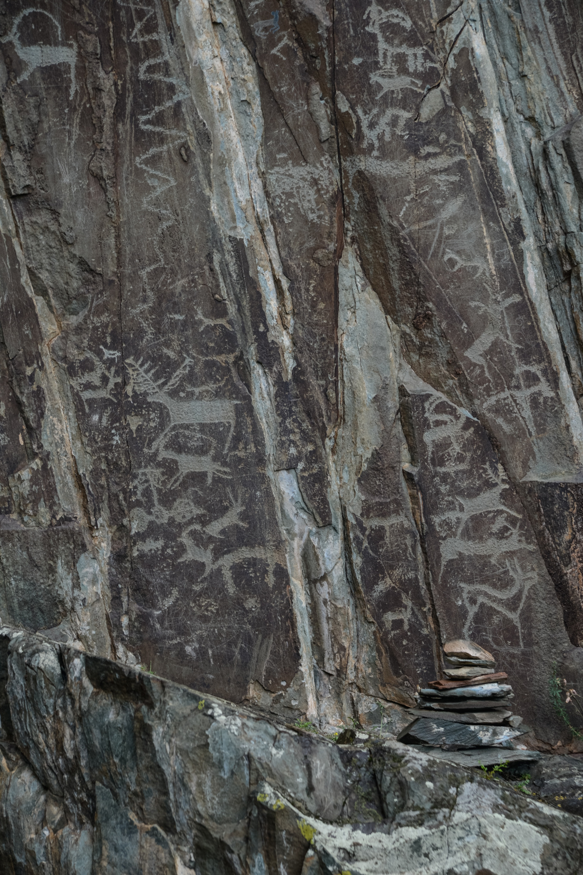 Алтай с севера на юг. Комфорт-тур (40/81)