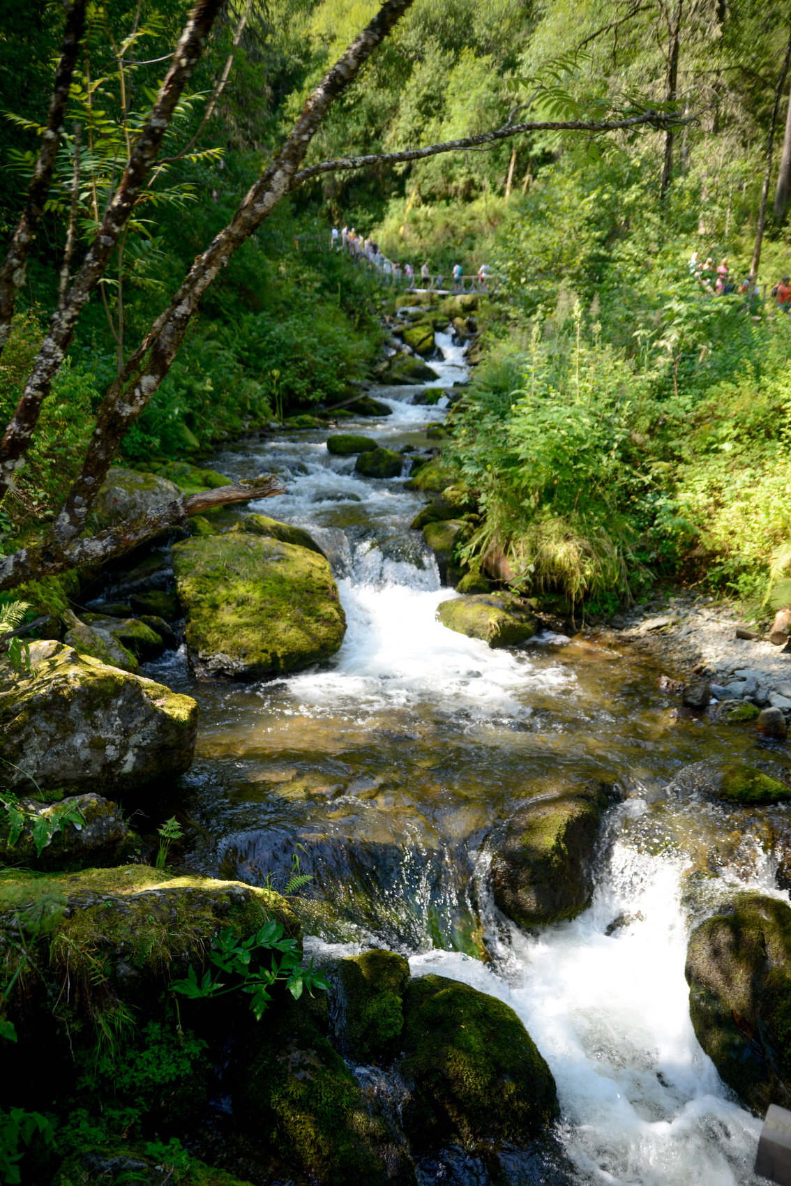 Алтай с севера на юг. Комфорт-тур (54/81)