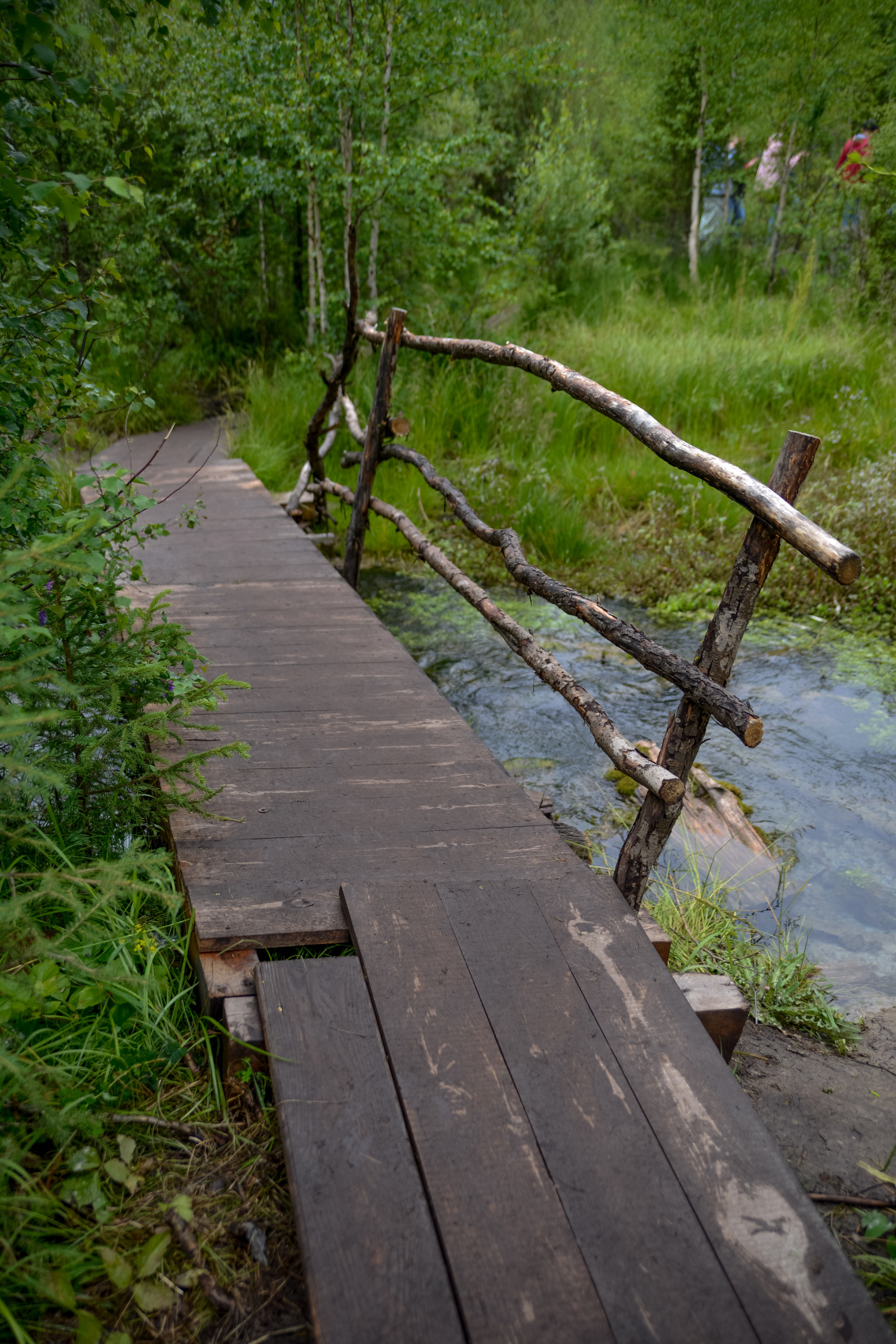 Алтай с севера на юг. Комфорт-тур (45/81)
