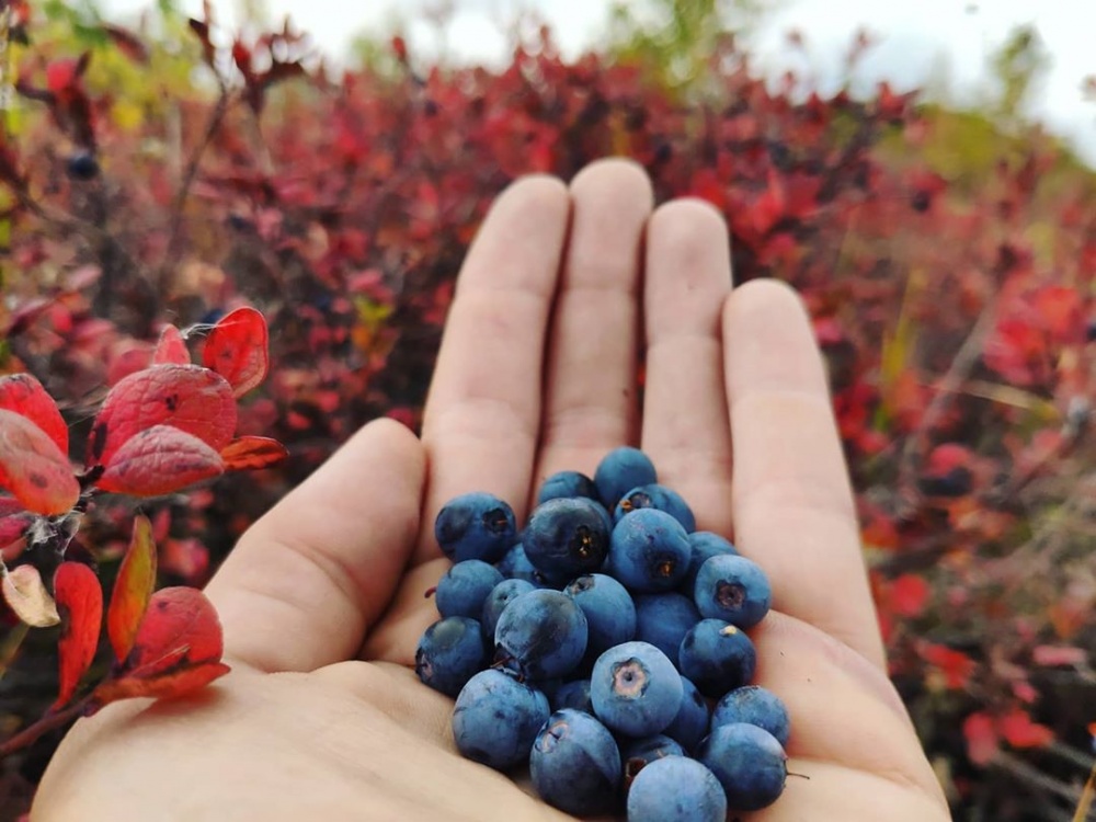 Активная Камчатка (всё включено) (6/36)