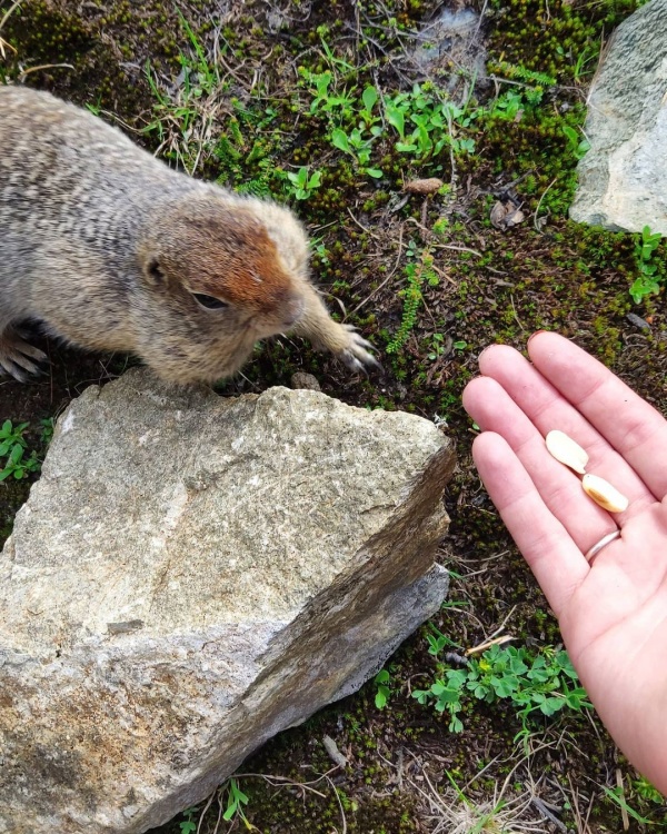 Активная Камчатка (всё включено) (3/36)