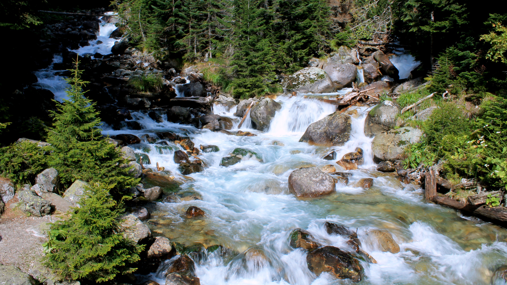 Треккинг в Домбае (без рюкзаков и палаток) (5/23)