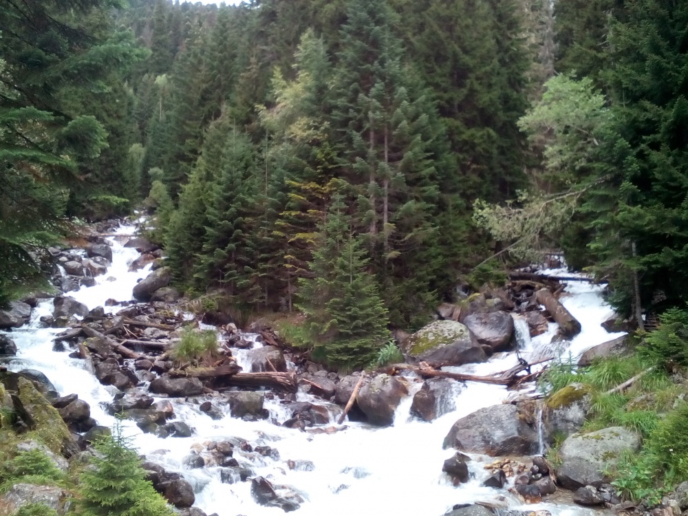 Треккинг в Домбае (без рюкзаков и палаток) (3/23)