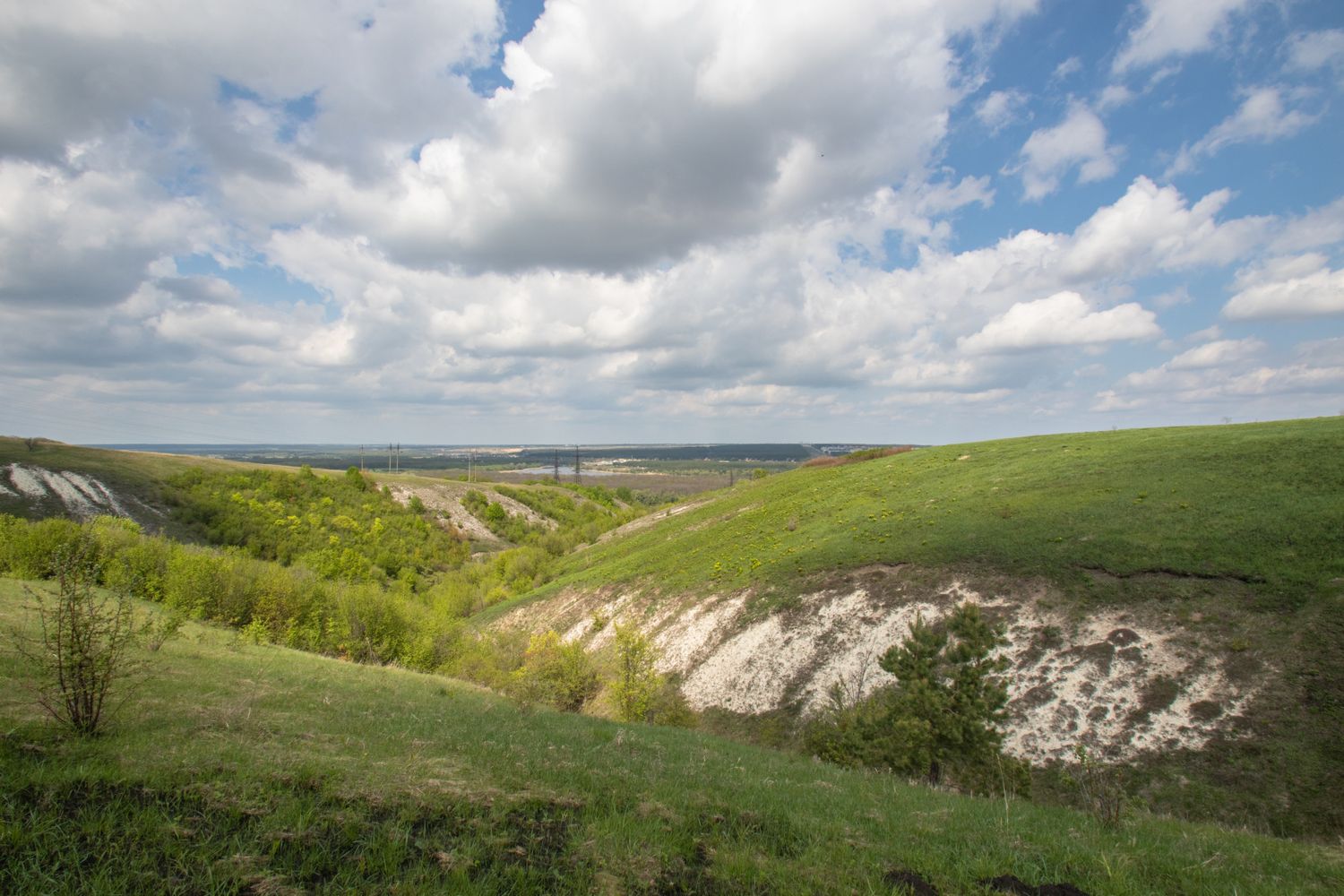 Весна в Дивногорье (4/31)
