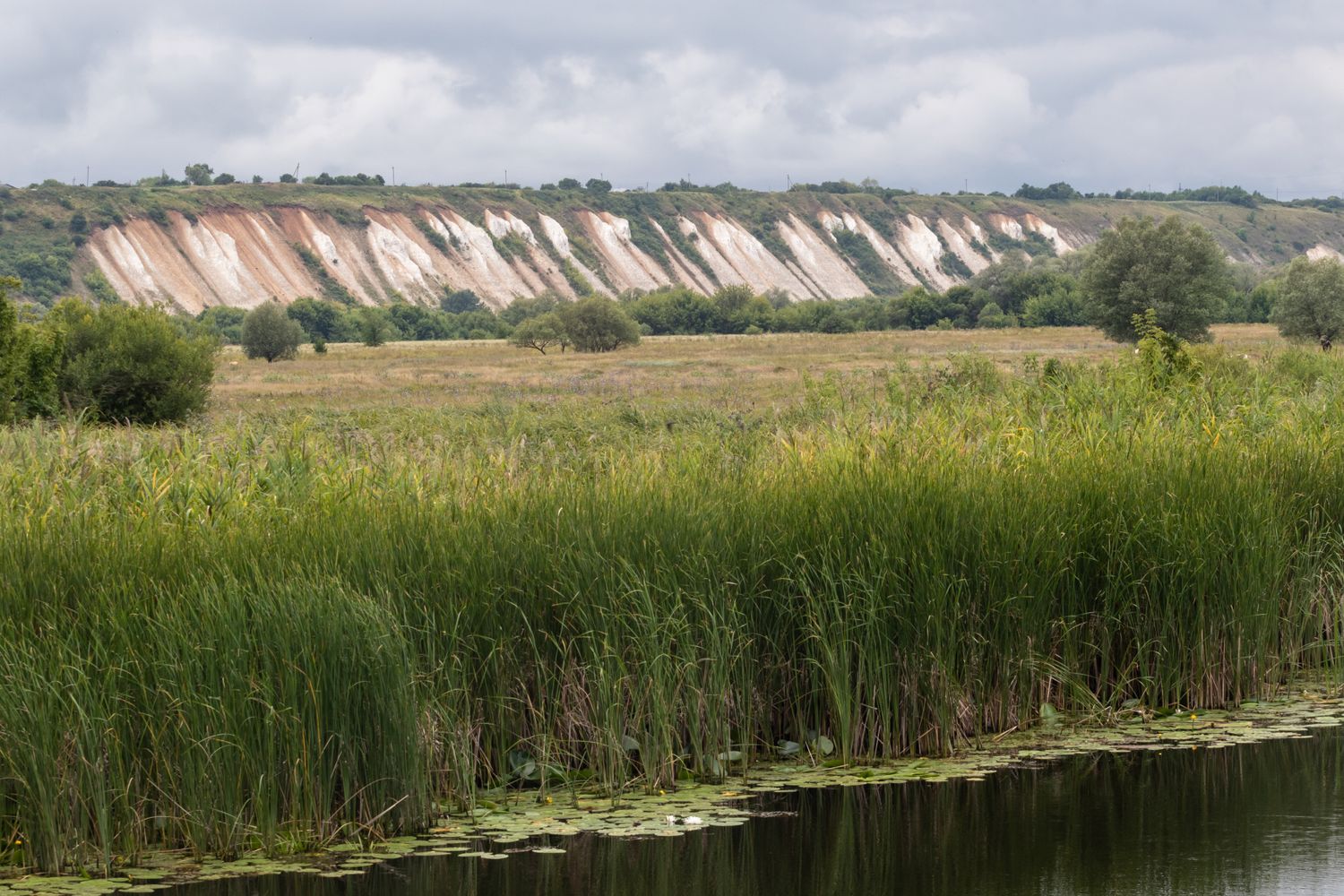 Весна в Дивногорье (9/31)