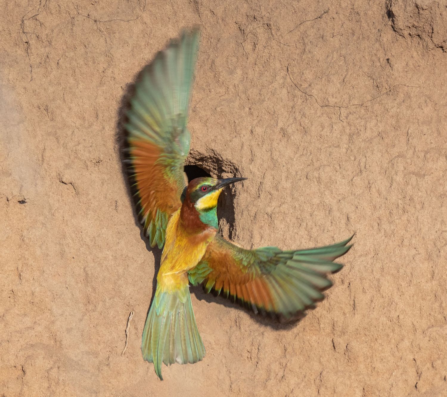 Весна в Дивногорье (7/31)