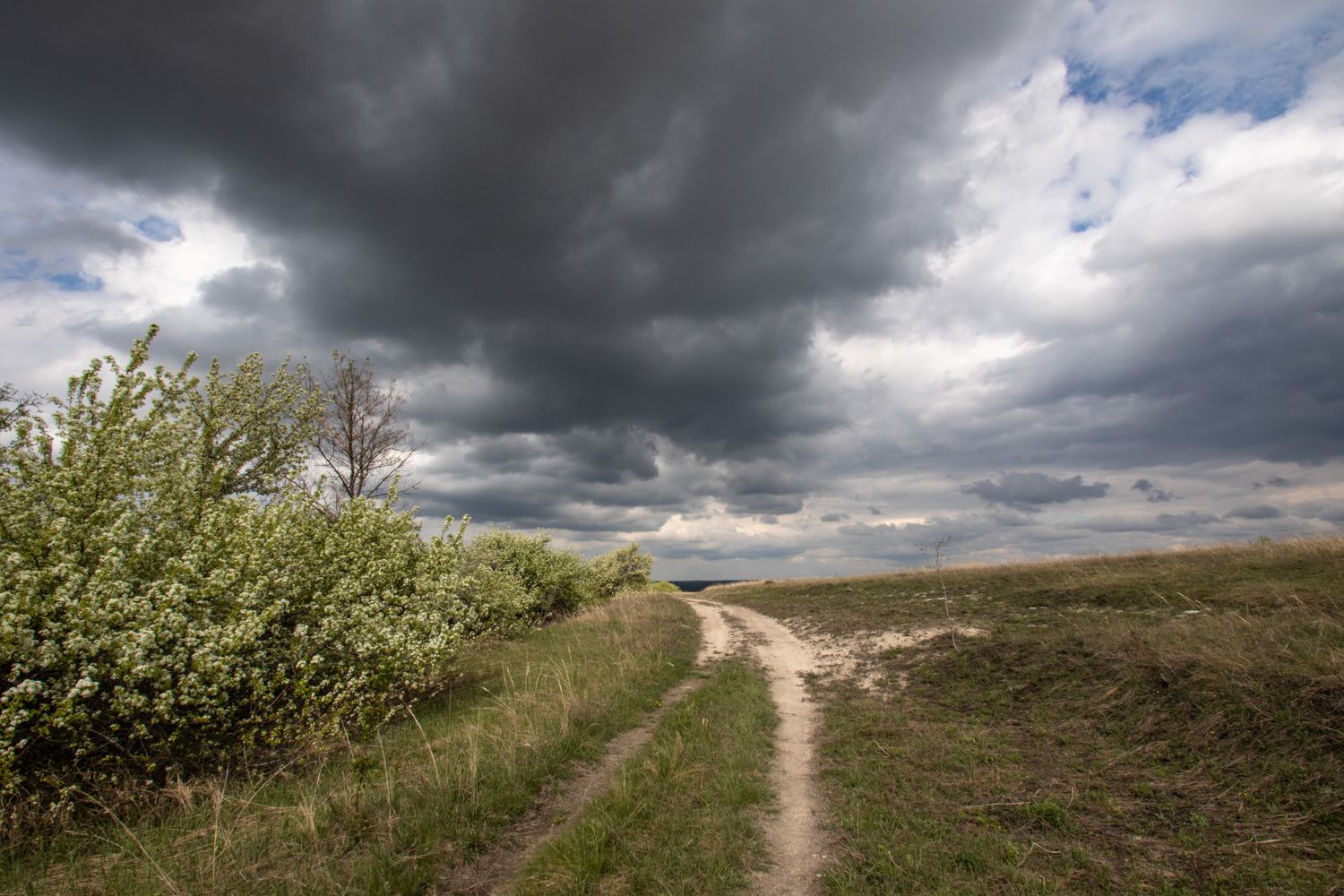 Весна в Дивногорье (3/31)