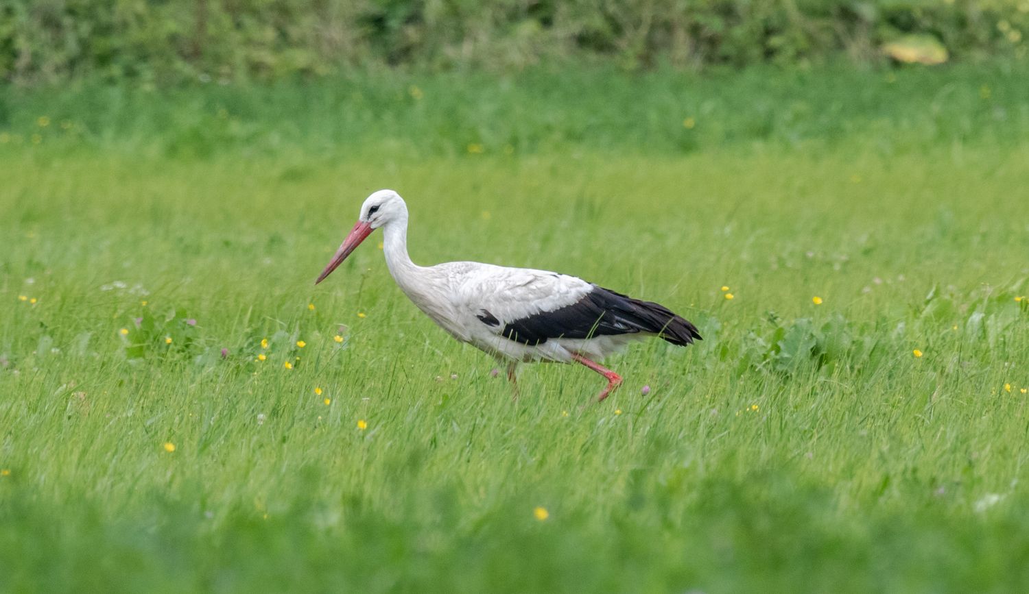 Весна в Дивногорье (12/31)