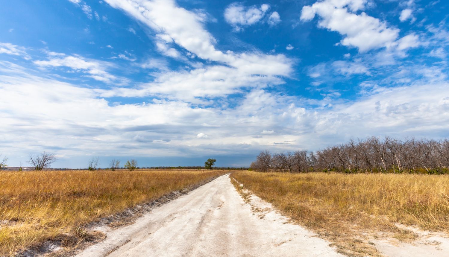 Весна в Дивногорье (13/31)