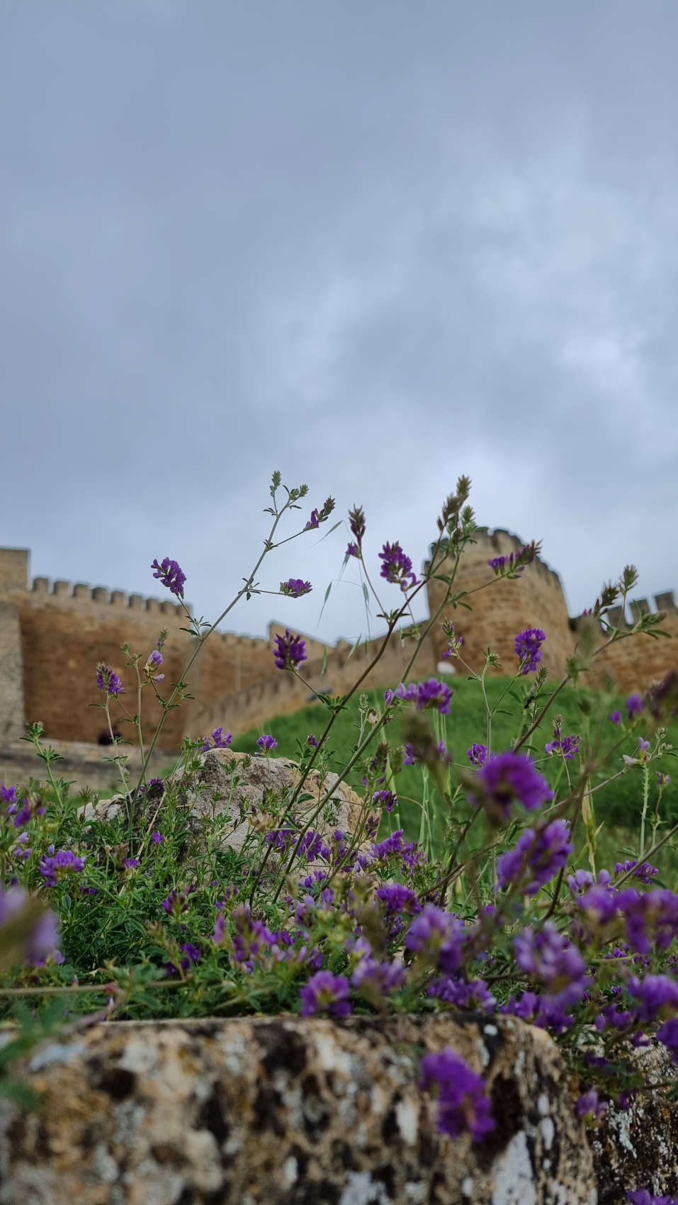 Комбинированный треккинг тур по Дагестану (37/81)