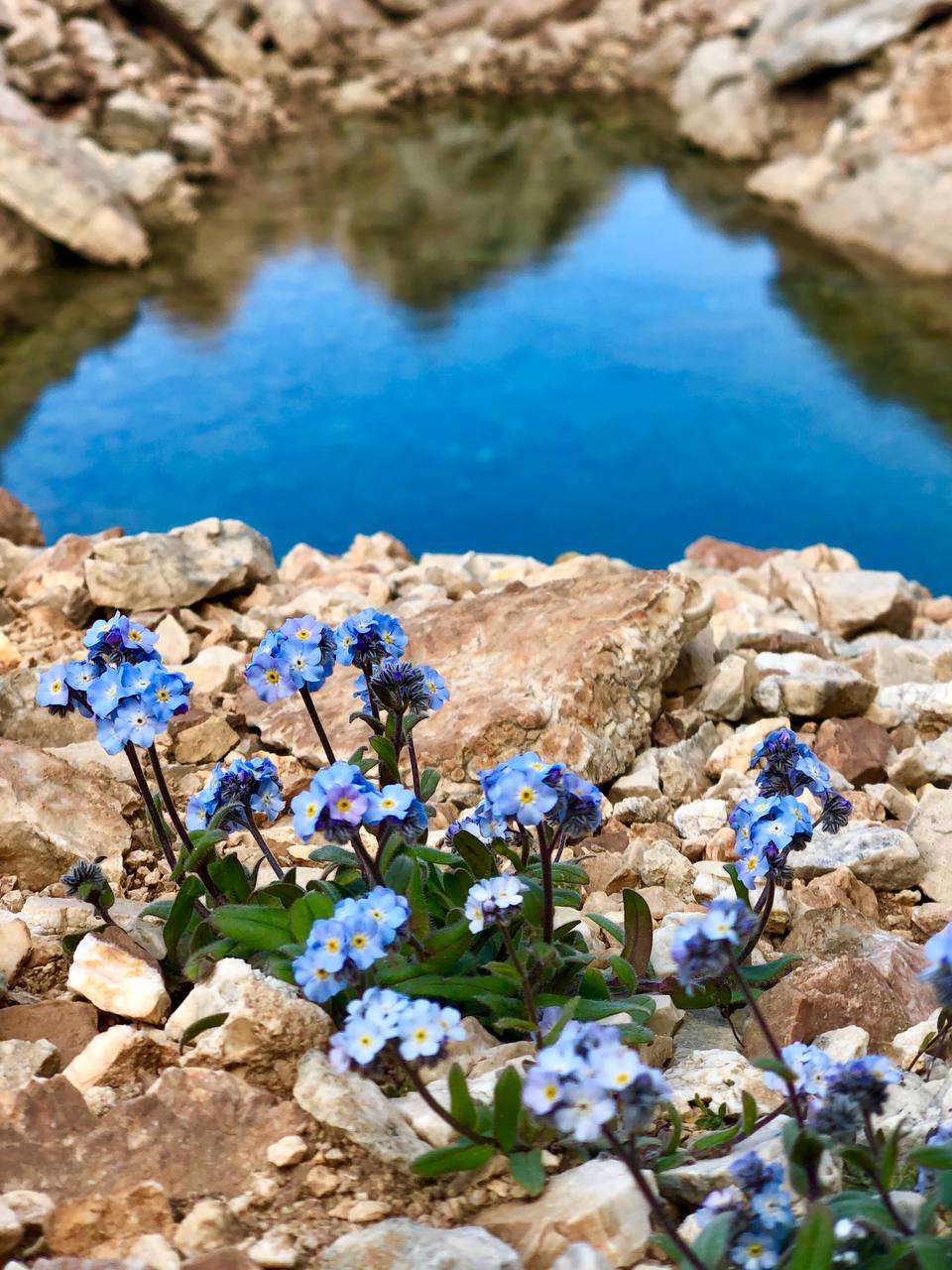 Комбинированный треккинг тур по Дагестану (8/81)