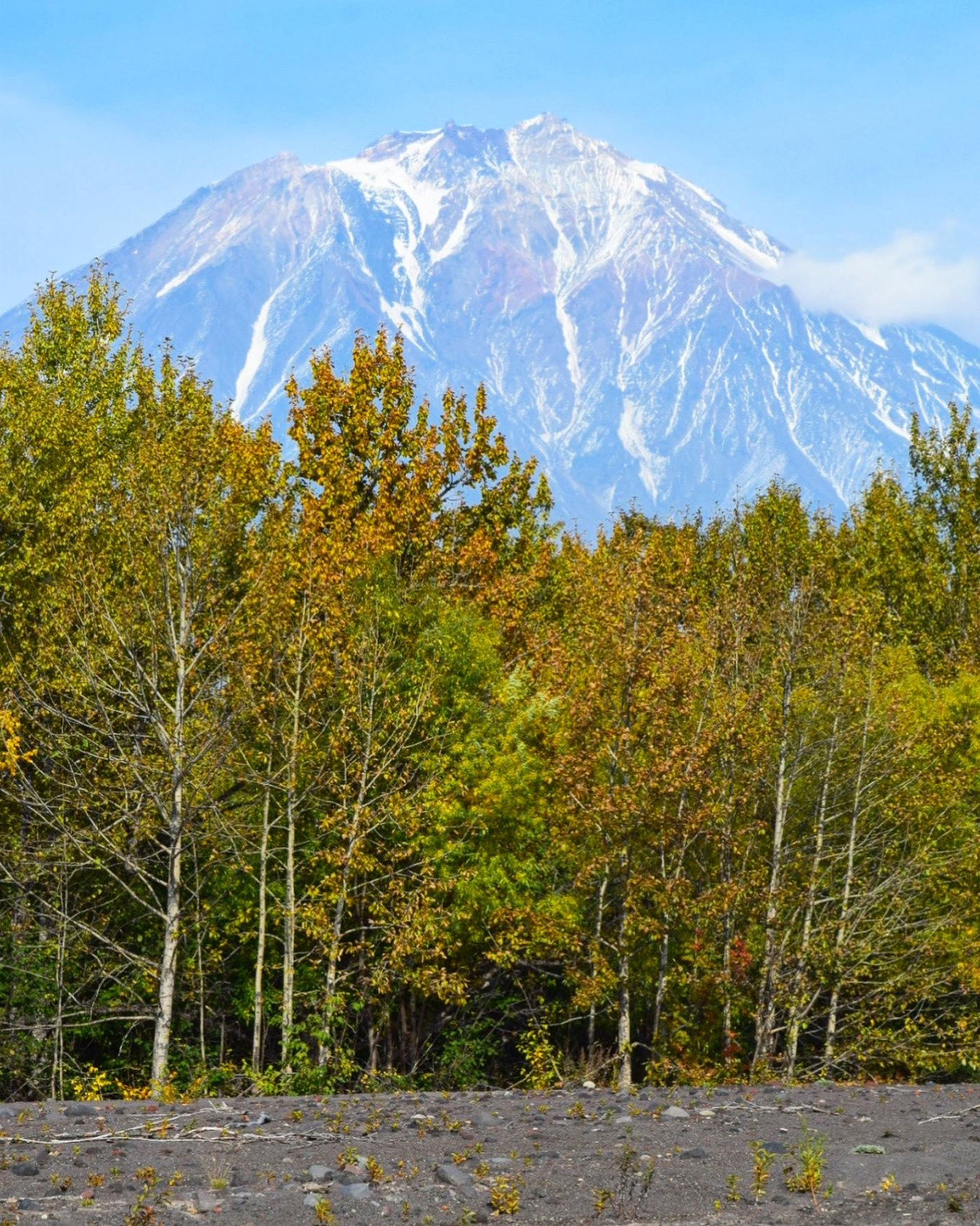 Золотая Камчатка (8/28)