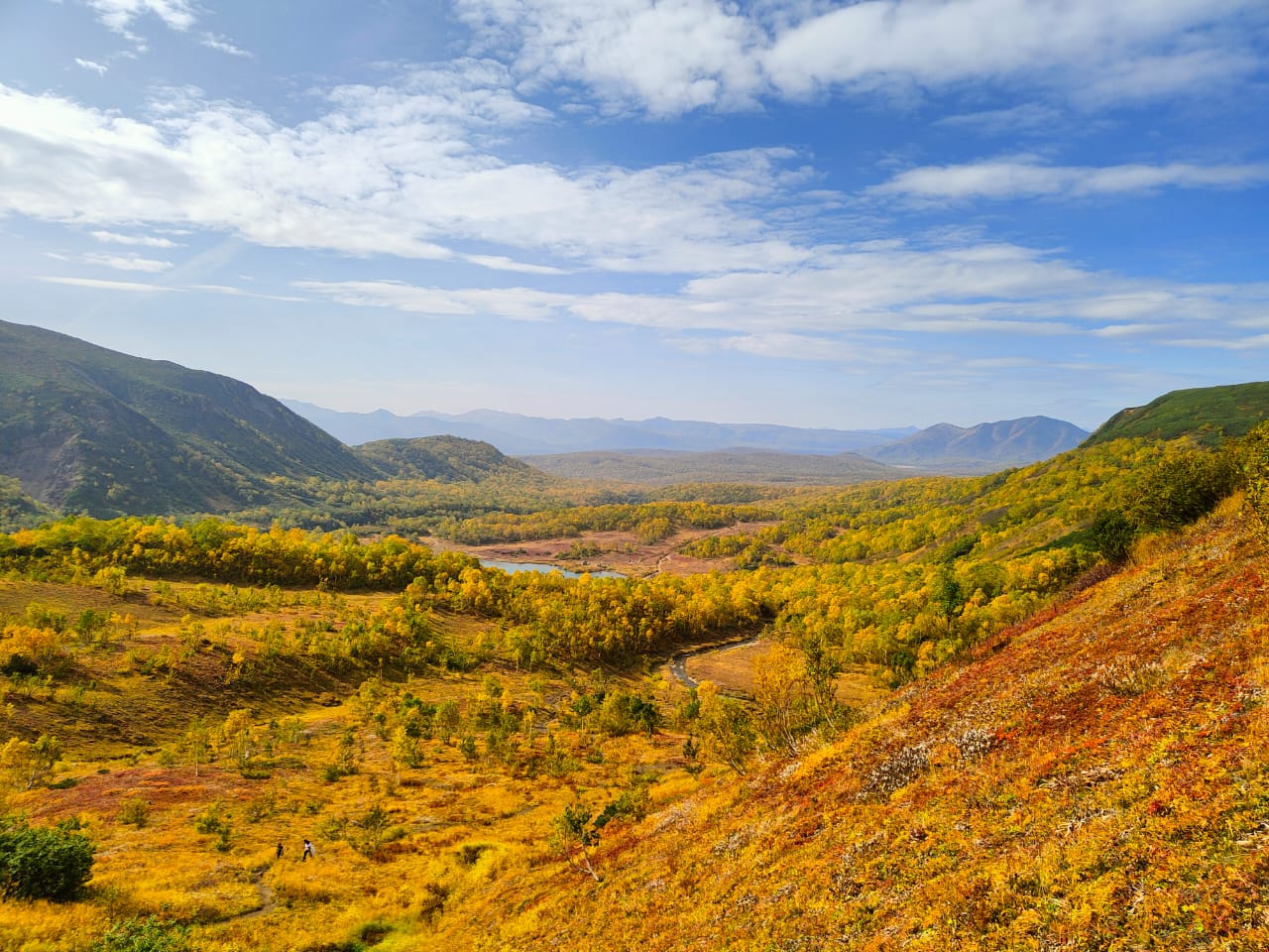 Золотая Камчатка (7/28)