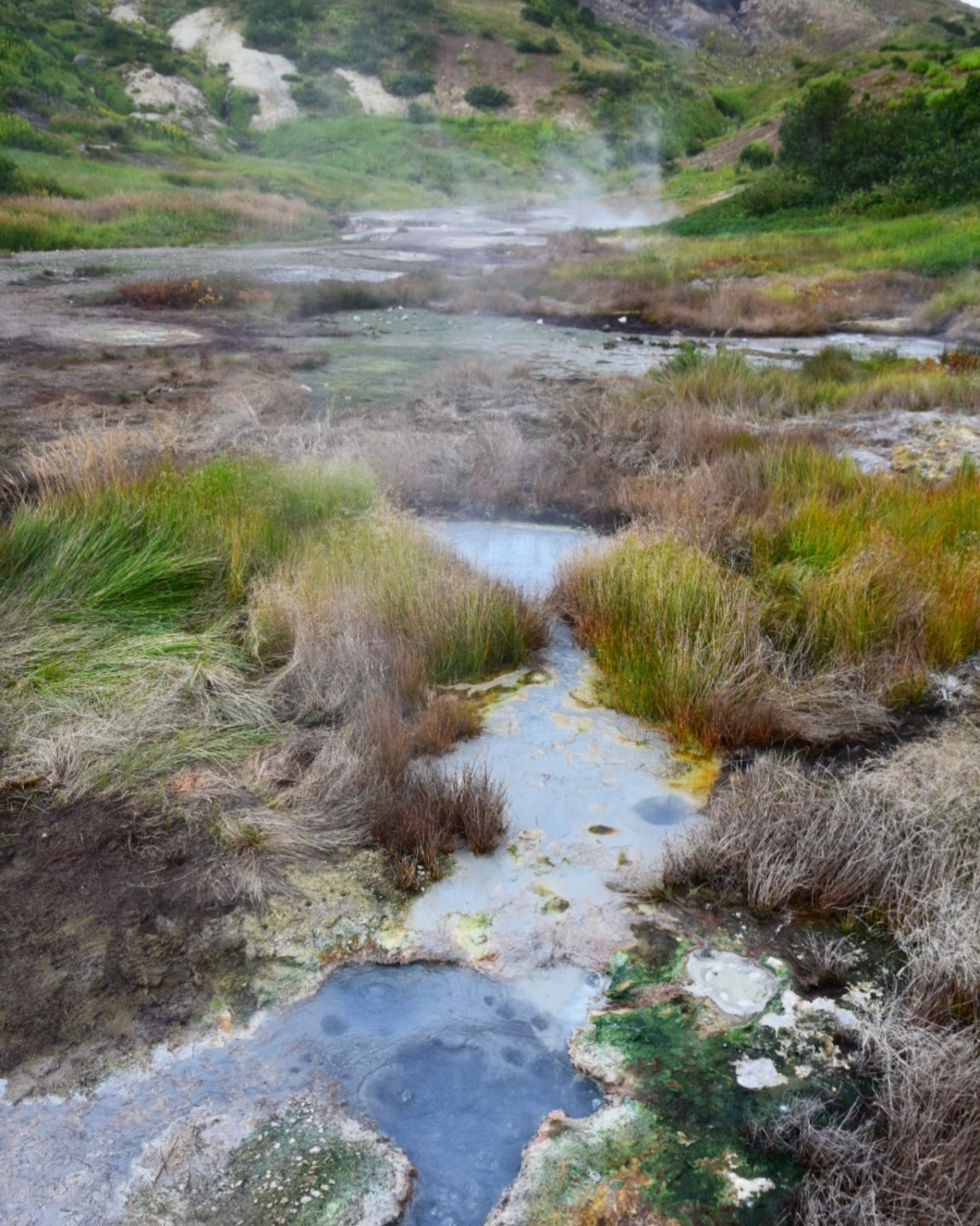 Золотая Камчатка (6/28)