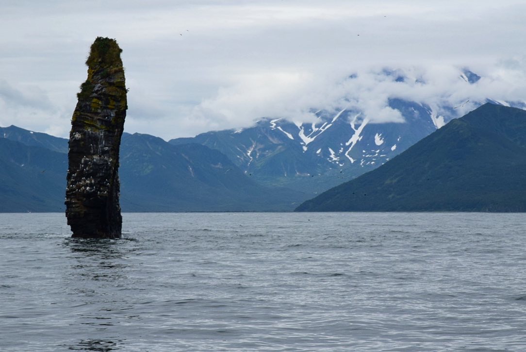 Золотая Камчатка (4/28)