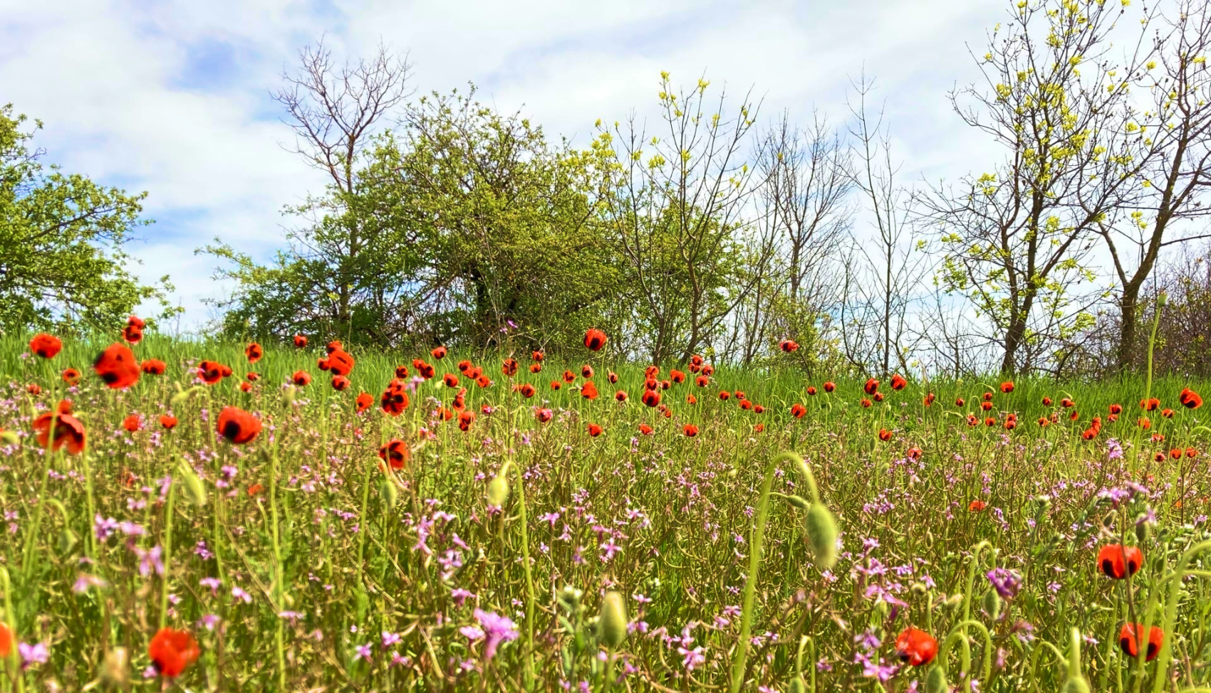 Тур в Волгоград и Нижнее Поволжье от Дона до озера Эльтон (мини-группа) - 8 дней (14/55)