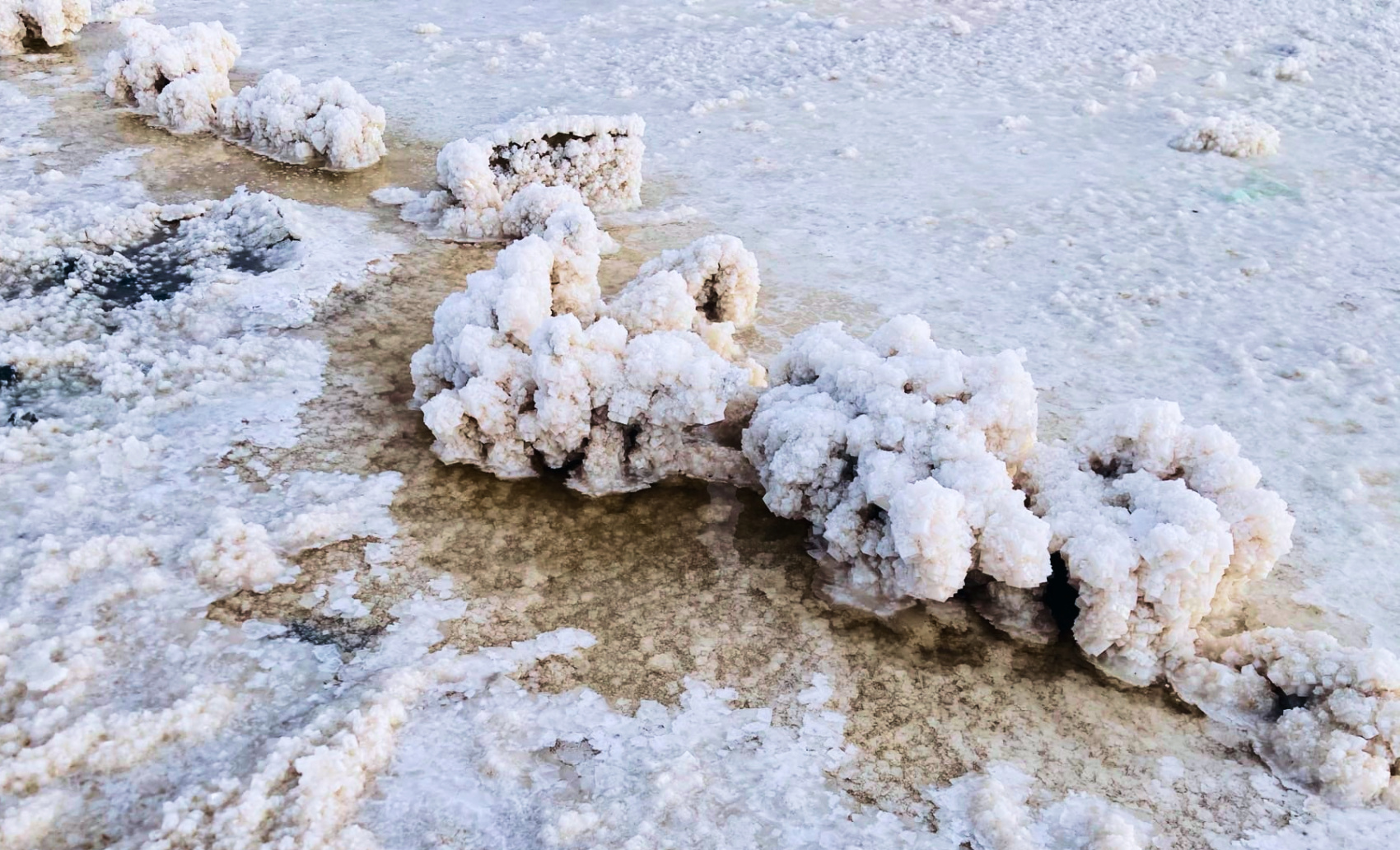 Тур в Волгоград и Нижнее Поволжье от Дона до озера Эльтон (мини-группа) - 8 дней (25/55)