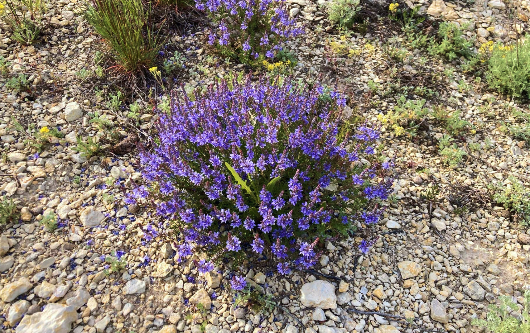 Тур в Волгоград и Нижнее Поволжье от Дона до озера Эльтон (мини-группа) - 8 дней (24/55)