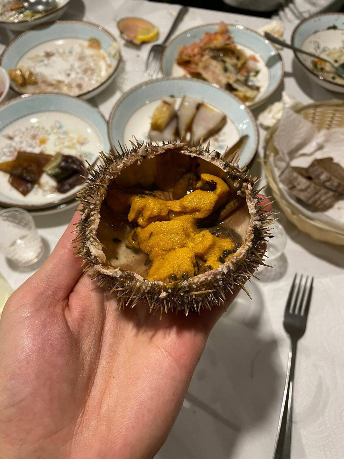 В Поисках Сияния: Мурманск - Кировск  - Териберка -  Саамы (24/38)