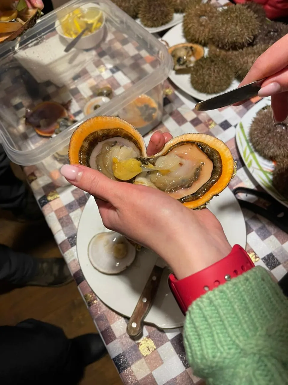 В Поисках Сияния: Мурманск - Кировск  - Териберка -  Саамы (22/38)