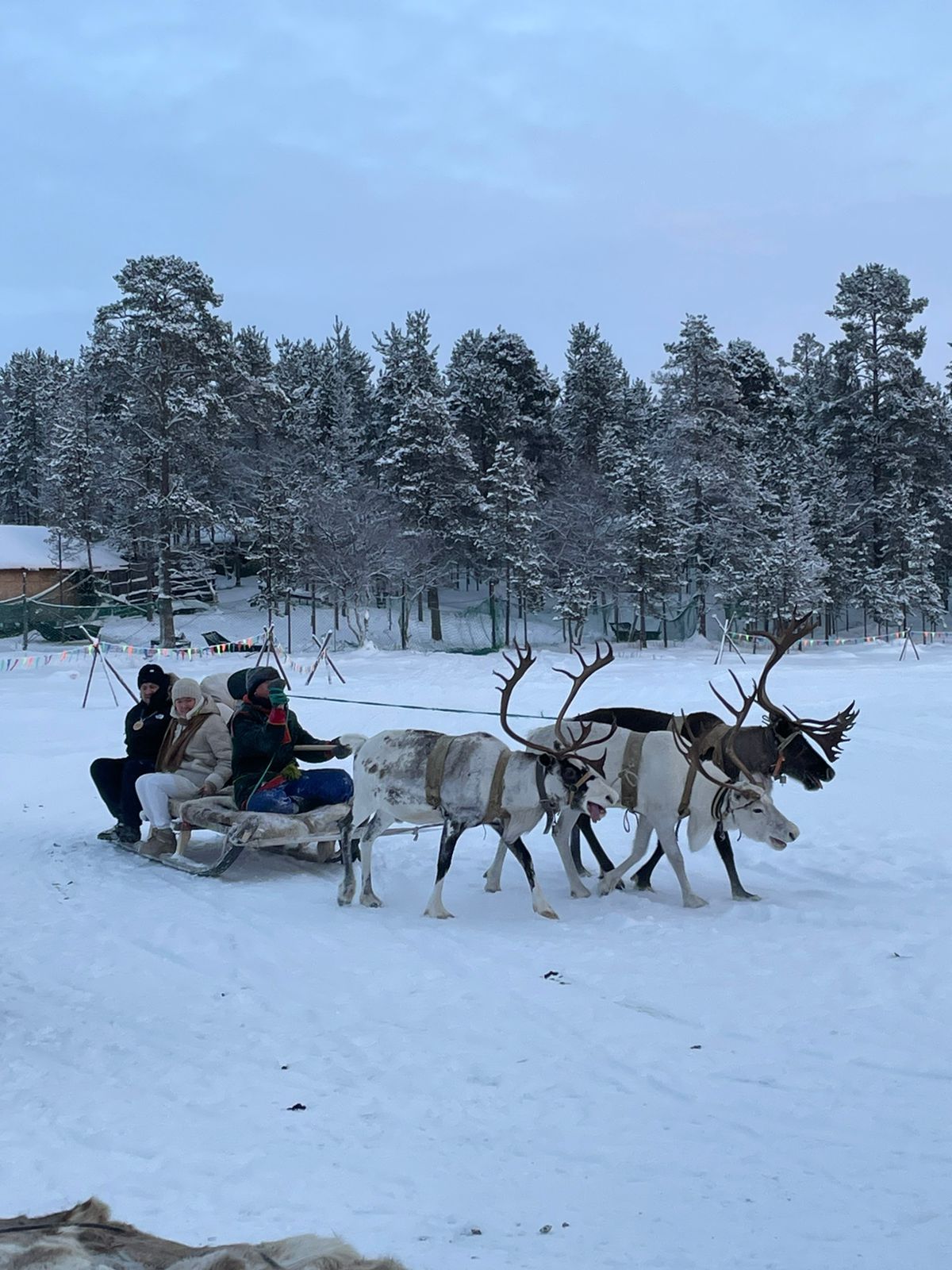 В Поисках Сияния: Мурманск - Кировск  - Териберка -  Саамы (26/38)