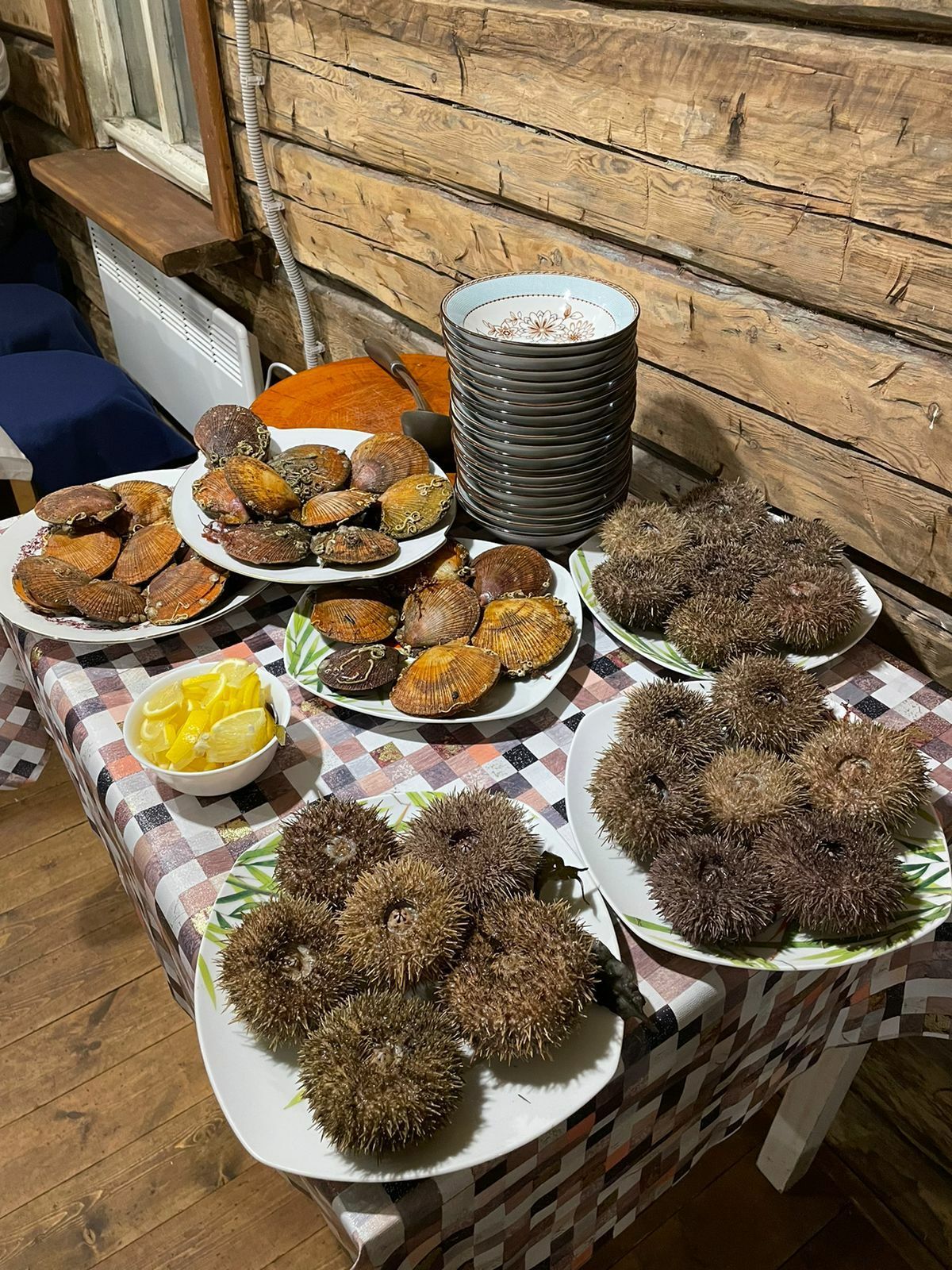 В Поисках Сияния: Мурманск - Кировск  - Териберка -  Саамы (25/38)