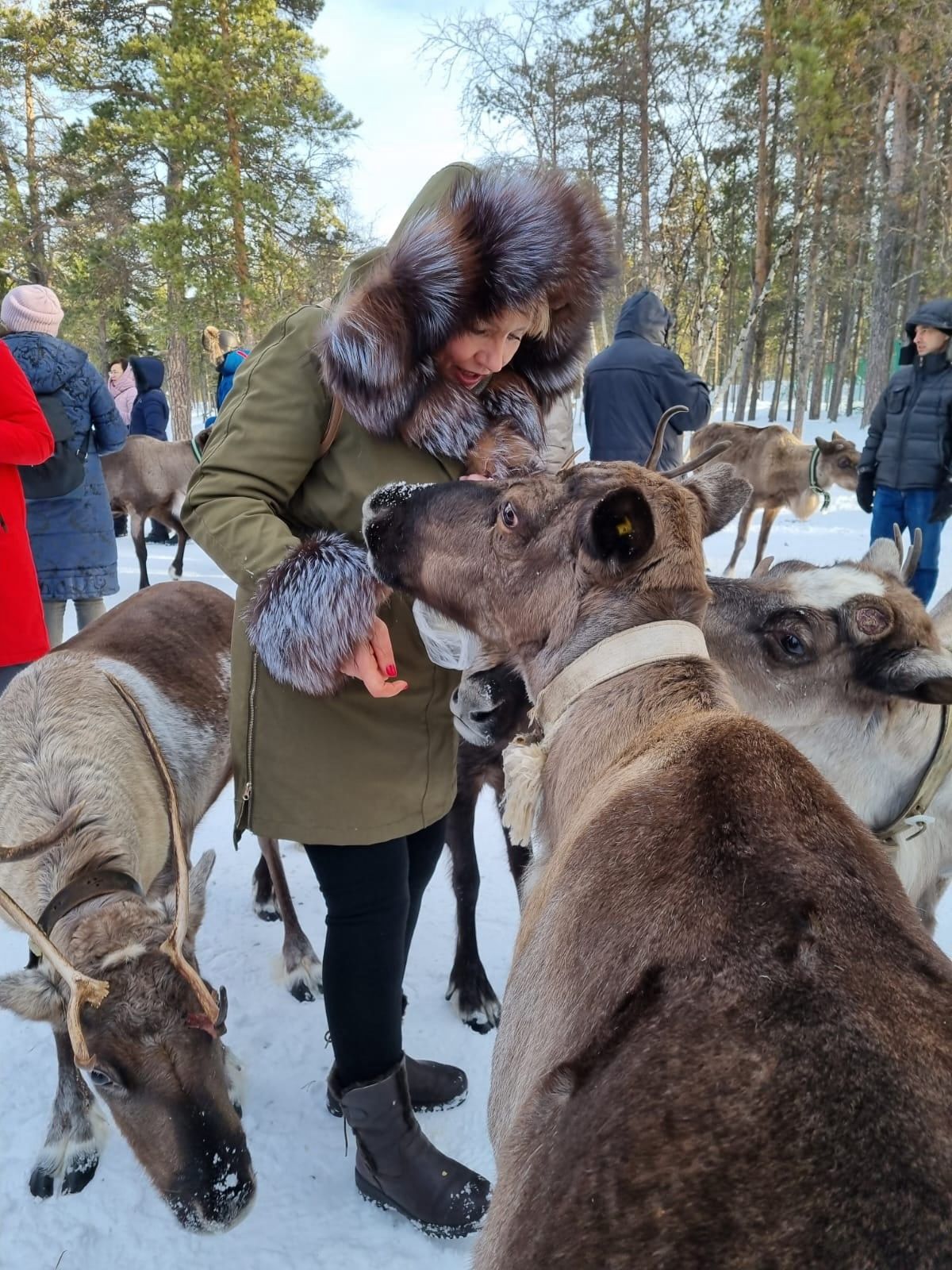 В Поисках Сияния: Мурманск - Кировск  - Териберка -  Саамы (10/38)