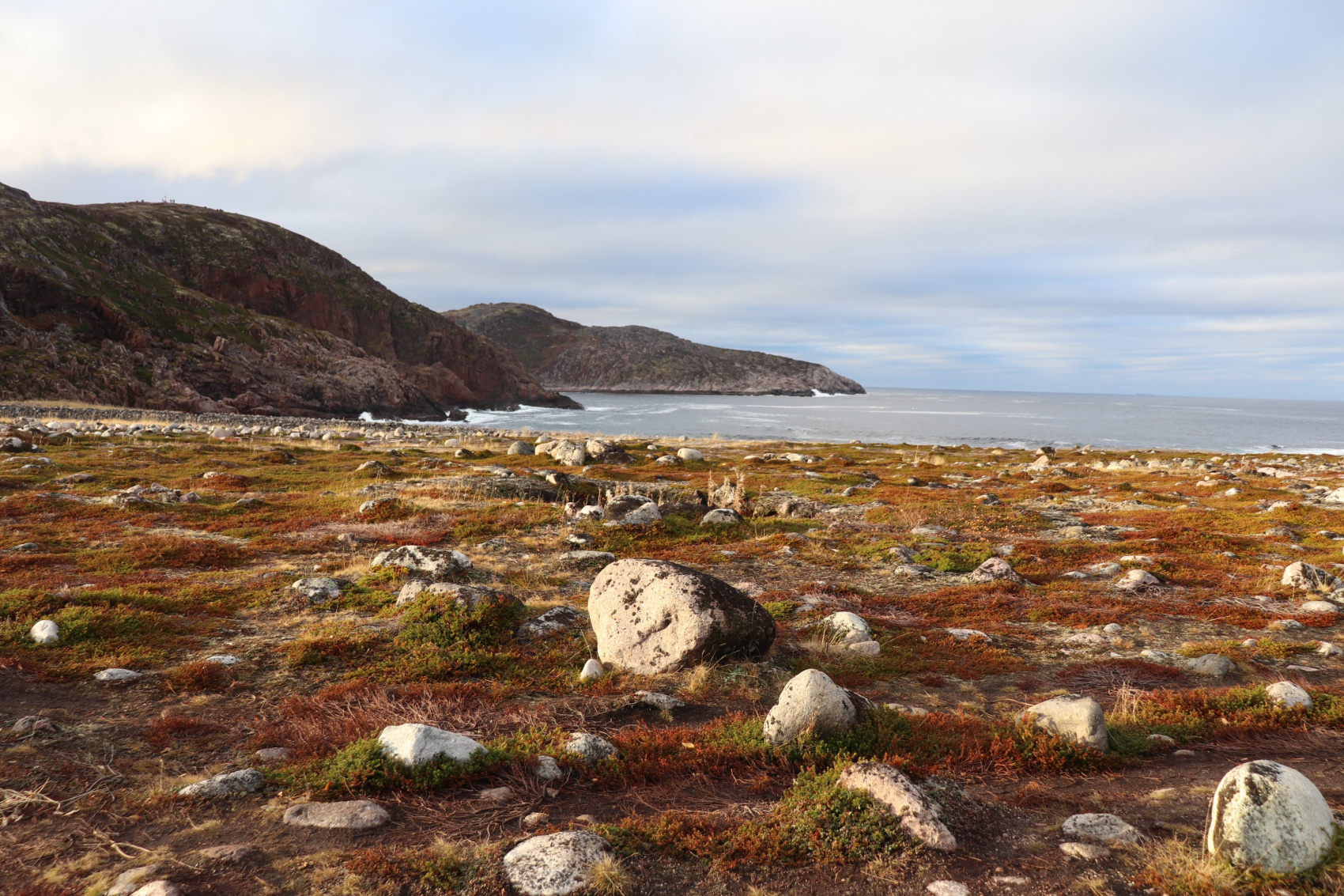 На китов в Териберку + Мурманск! (группа до 8 чел.) (15/38)