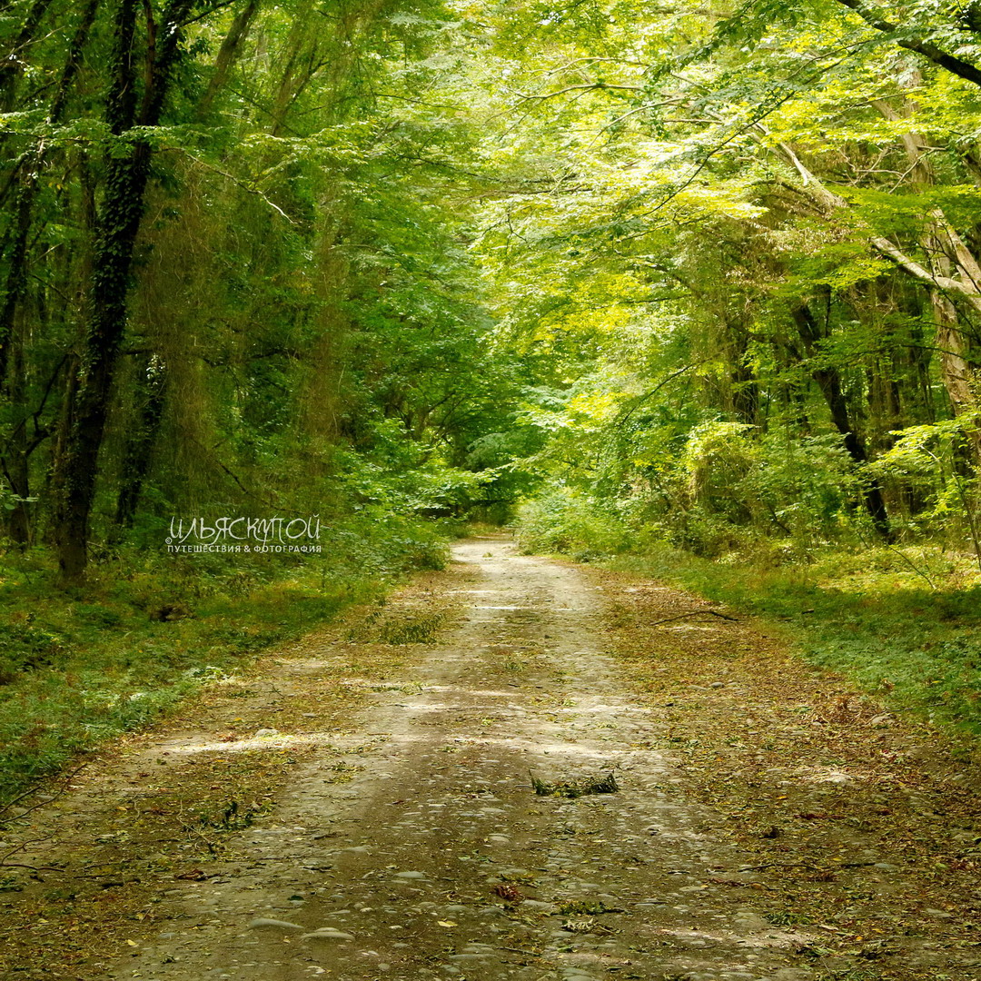 ДАГЕСТАН НАВСЕГДА • ГРАНД ТУР - всё и сразу!!! (24/73)