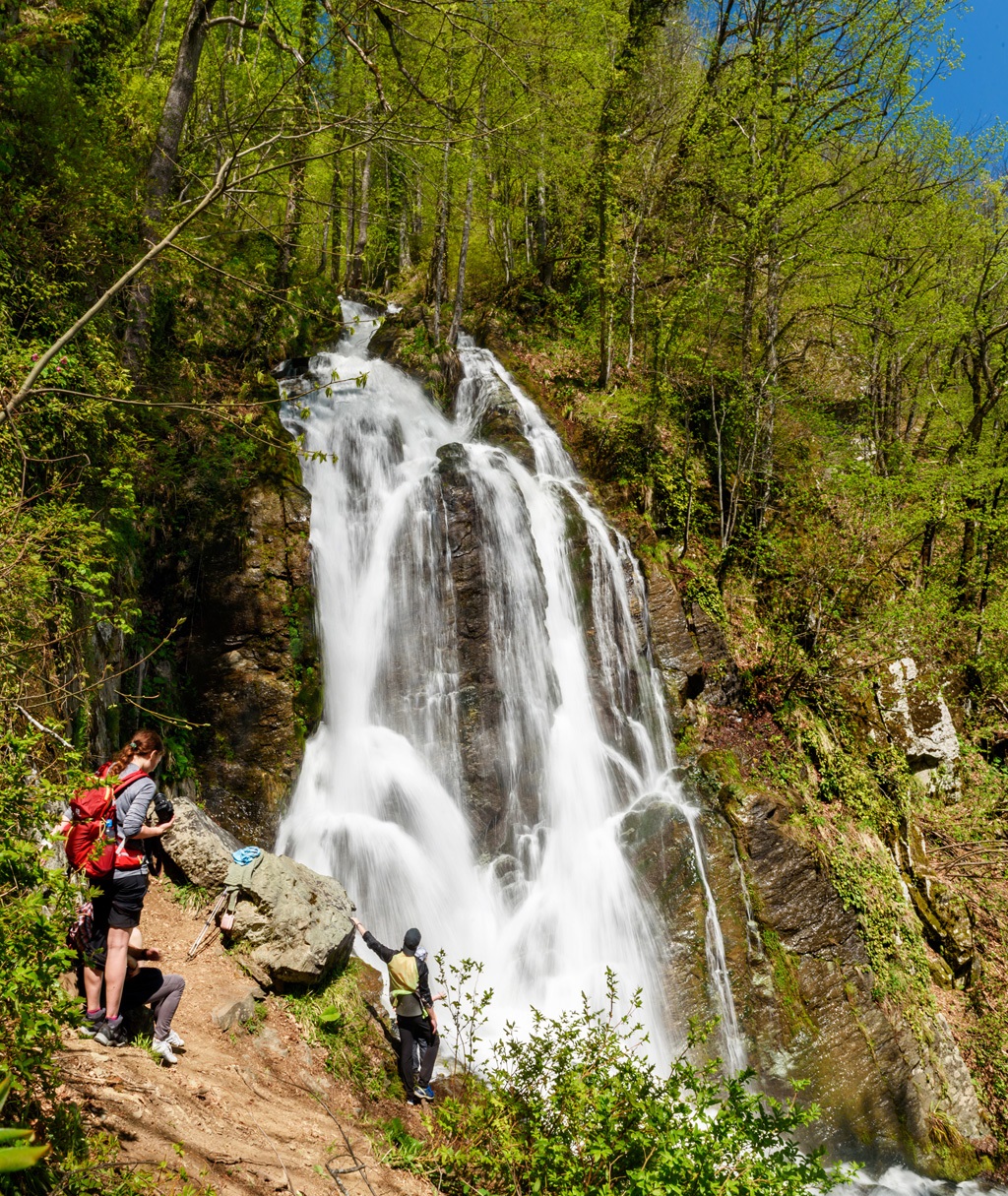 Йога-треккинг тур в Красную Поляну (18/43)