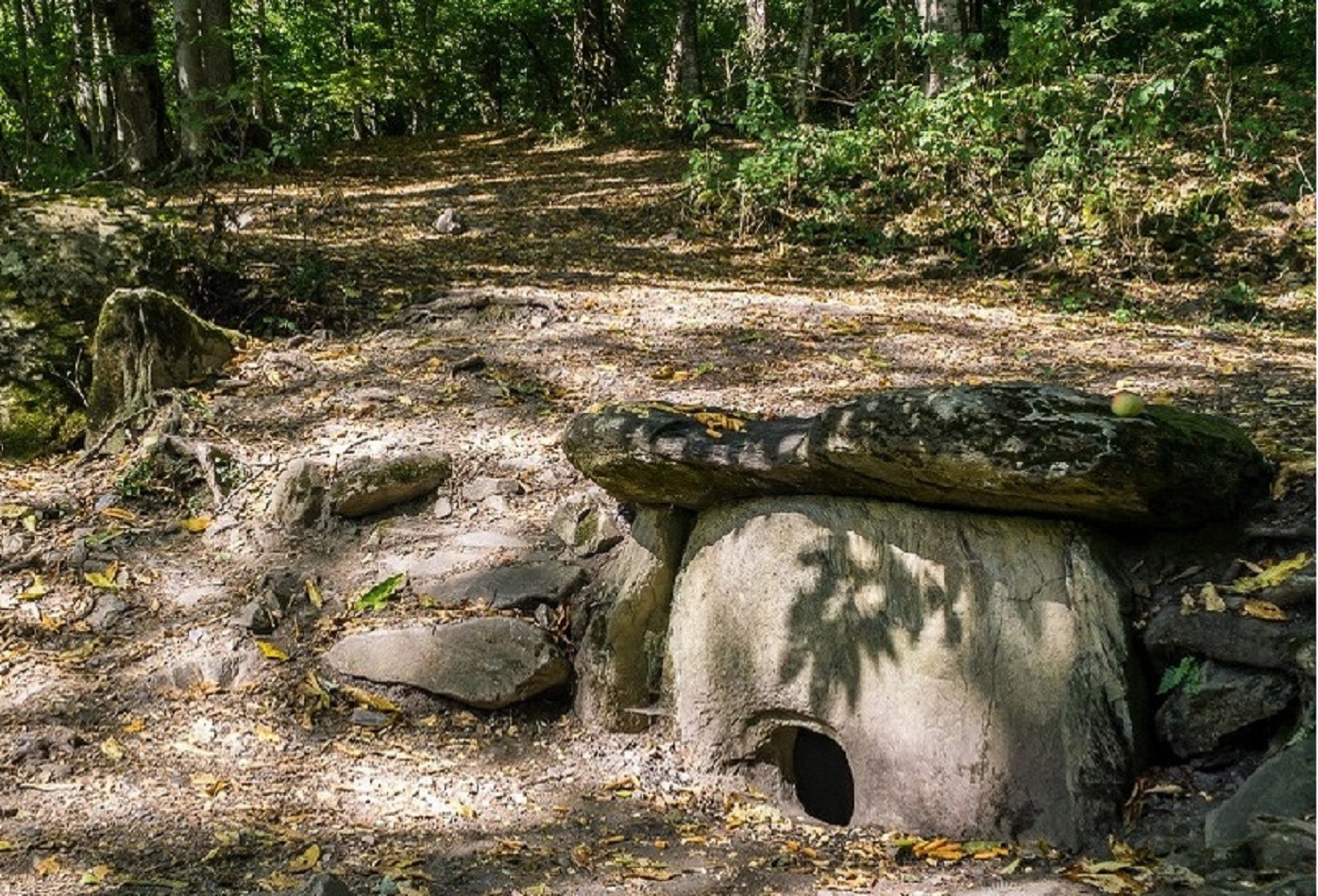 Йога-треккинг тур в Красную Поляну (13/43)
