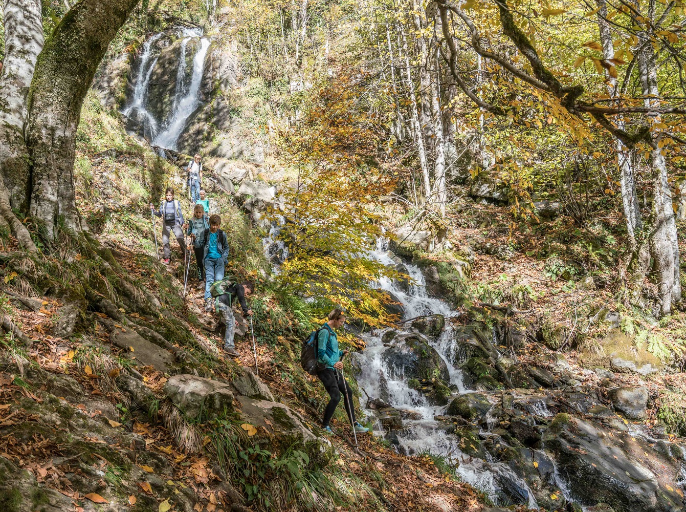 Йога-треккинг тур в Красную Поляну (12/43)