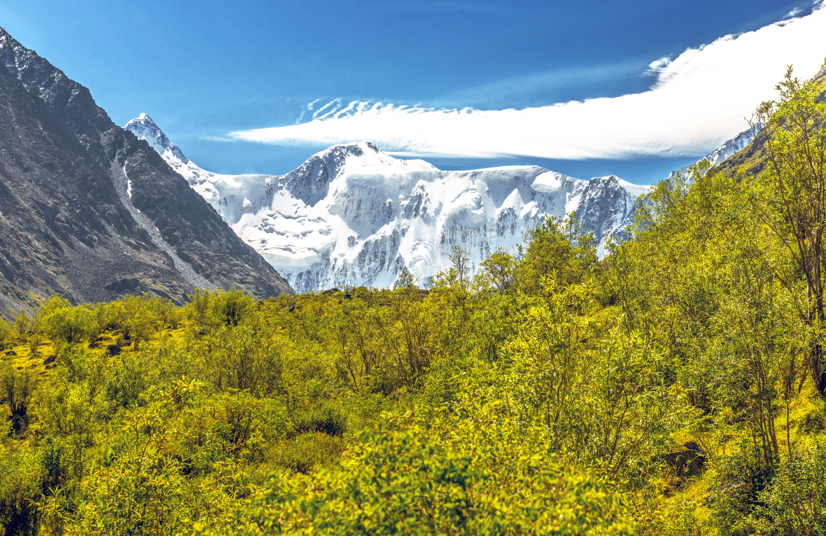 Вертолетом к горе Белухе(комфорт): Выход на новый Уровень (7/11)