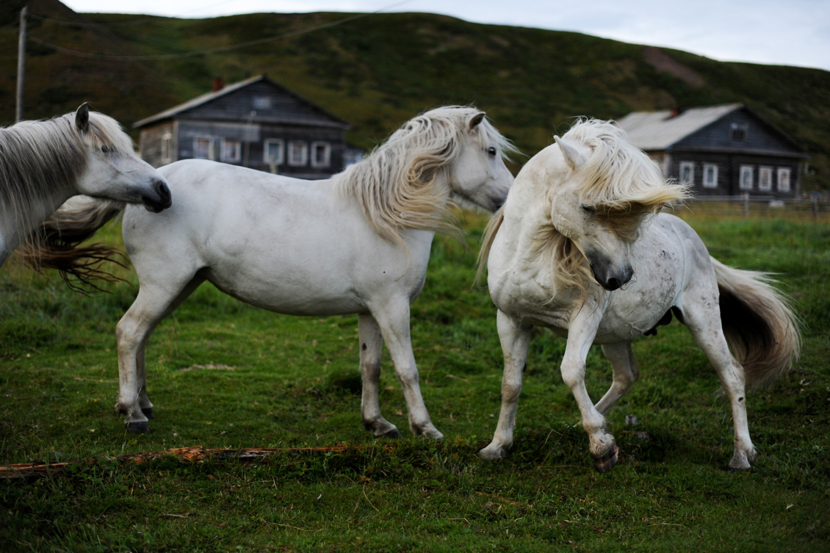 НЕтуристический Кольский. 7 дней вдоль Белого моря. (7/28)