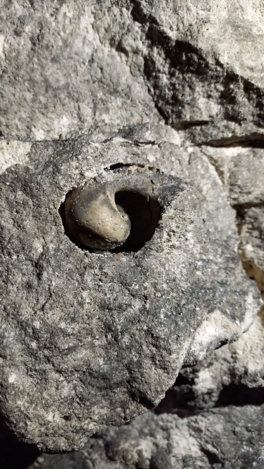 Ржев, Торжок, Старицкие пещеры и другие путешествия и приключения (18/71)