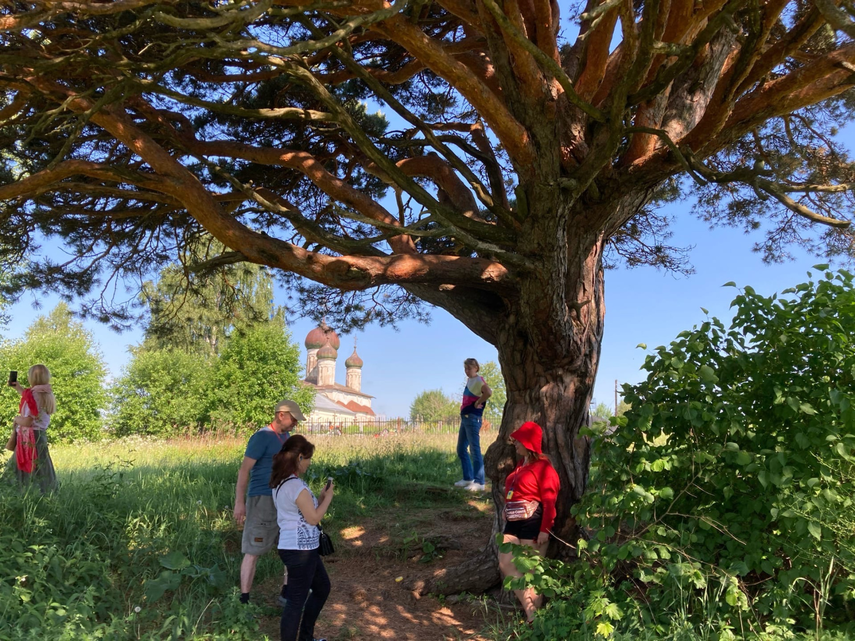 Ржев, Торжок, Старицкие пещеры и другие путешествия и приключения (25/71)