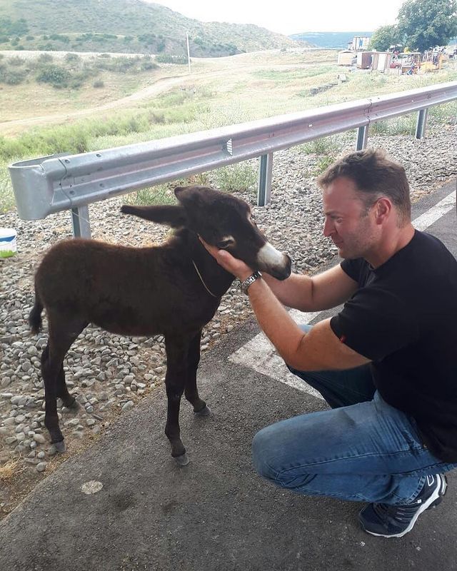 Фантастическая Грузия! 7 дней ярких впечатлений с душевным гидом Сандро (2/420)