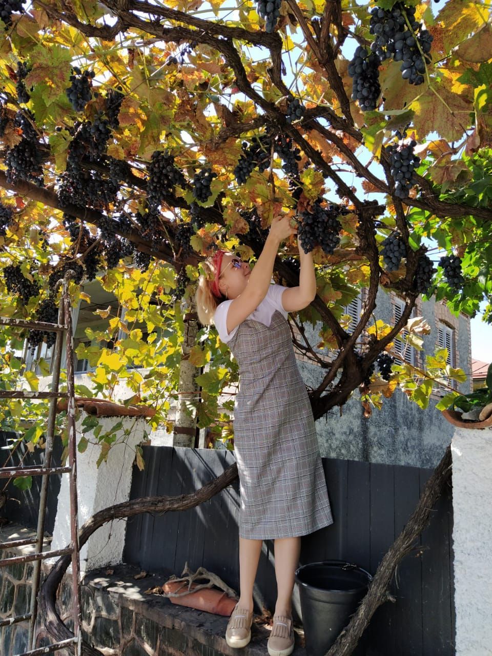 Фантастическая Грузия! 7 дней ярких впечатлений с душевным гидом Сандро (101/420)