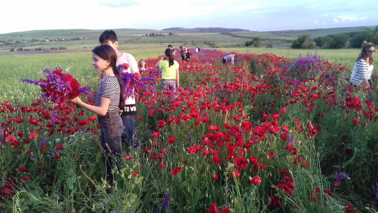 Фантастическая Грузия! 7 дней ярких впечатлений с душевным гидом Сандро (145/420)