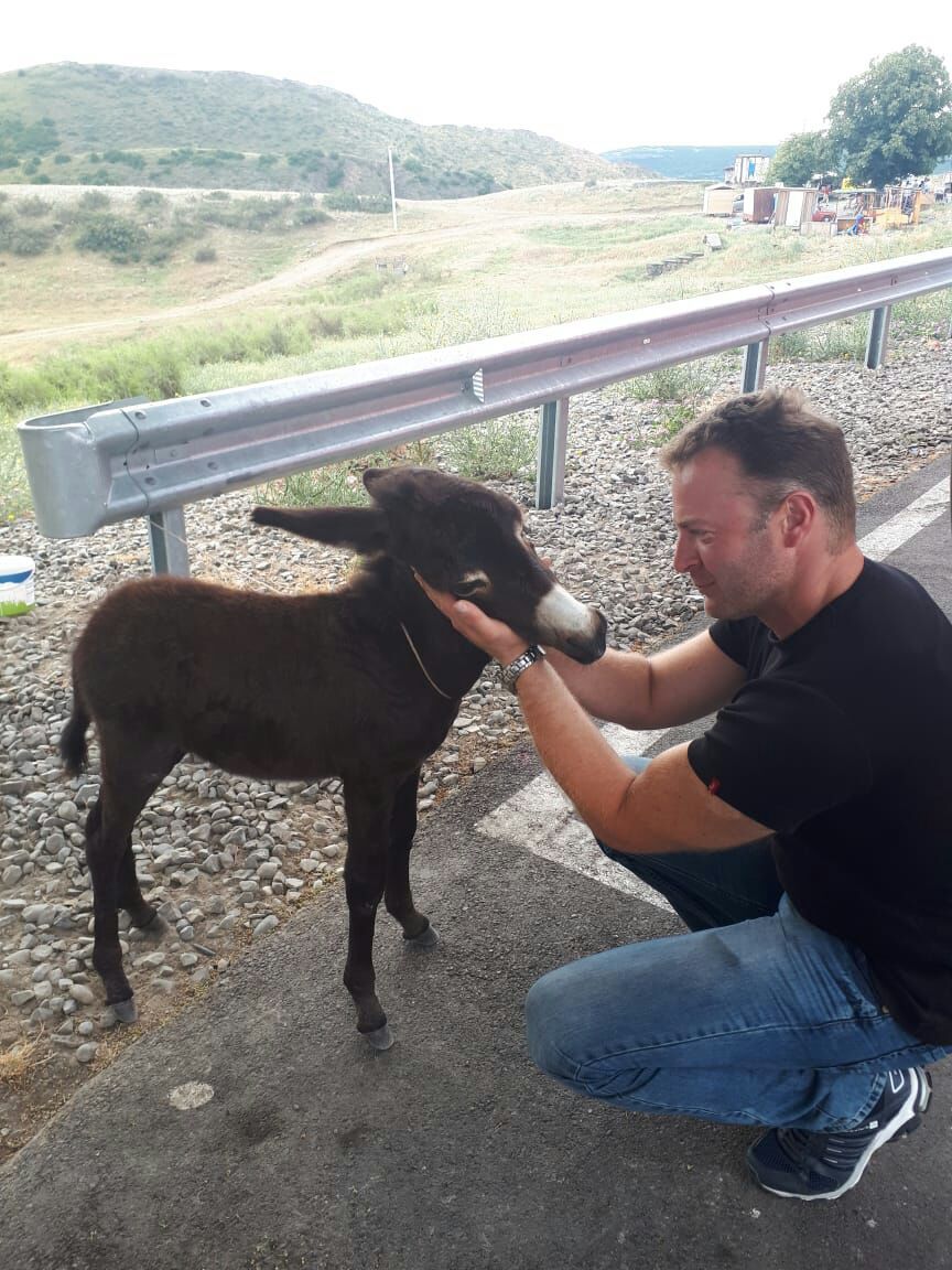Фантастическая Грузия! 7 дней ярких впечатлений с душевным гидом Сандро (237/420)