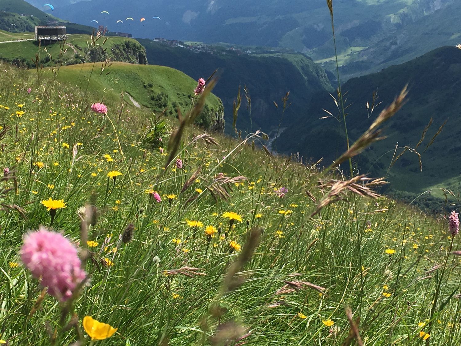 Фантастическая Грузия! 7 дней ярких впечатлений с душевным гидом Сандро (86/420)