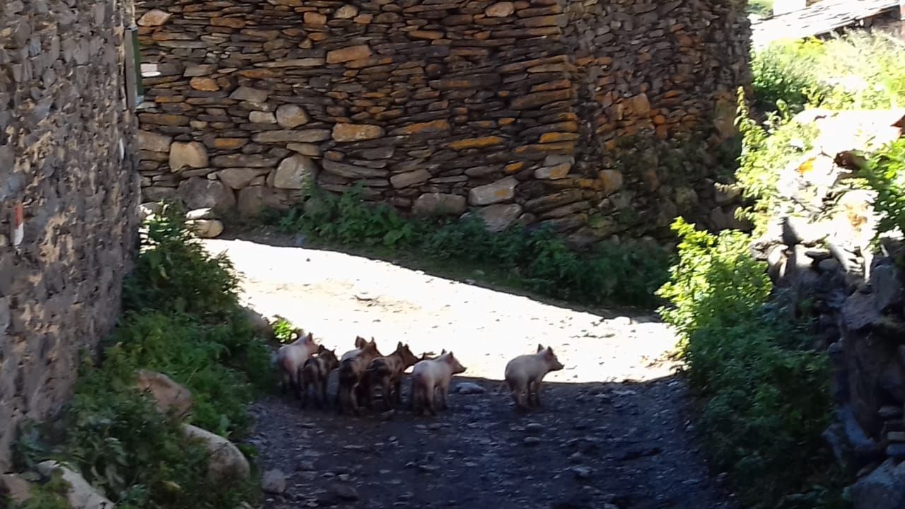 Фантастическая Грузия! 7 дней ярких впечатлений с душевным гидом Сандро (209/420)