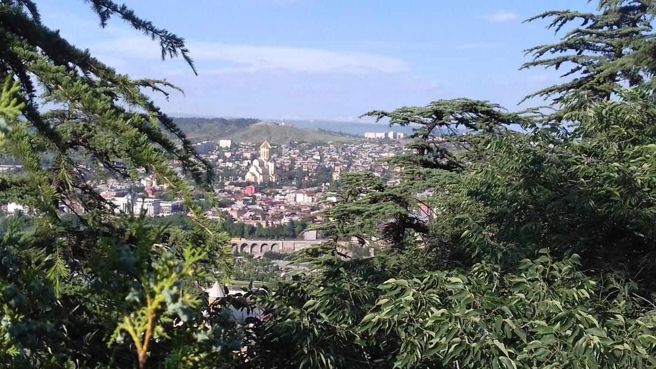 Фантастическая Грузия! 7 дней ярких впечатлений с душевным гидом Сандро (47/420)