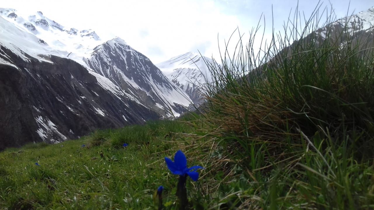 Фантастическая Грузия! 7 дней ярких впечатлений с душевным гидом Сандро (60/420)