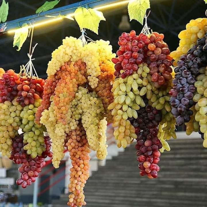 Фантастическая Грузия! 7 дней ярких впечатлений с душевным гидом Сандро (102/420)