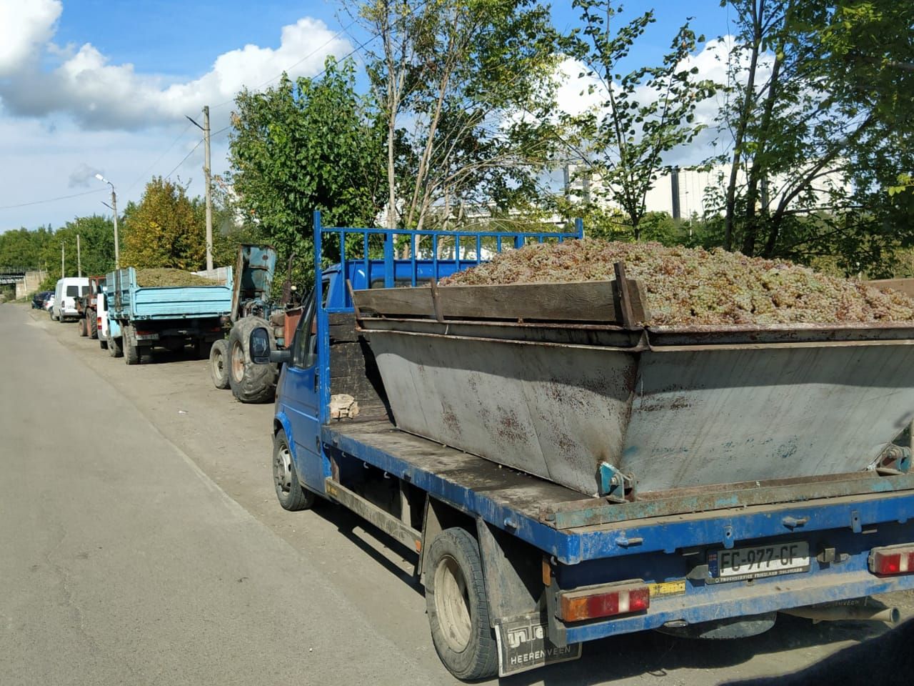 Фантастическая Грузия! 7 дней ярких впечатлений с душевным гидом Сандро (97/420)