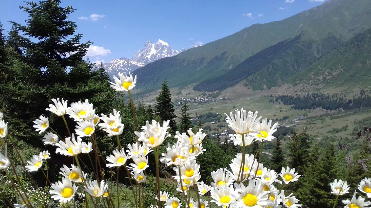 Фантастическая Грузия! 7 дней ярких впечатлений с душевным гидом Сандро (240/420)